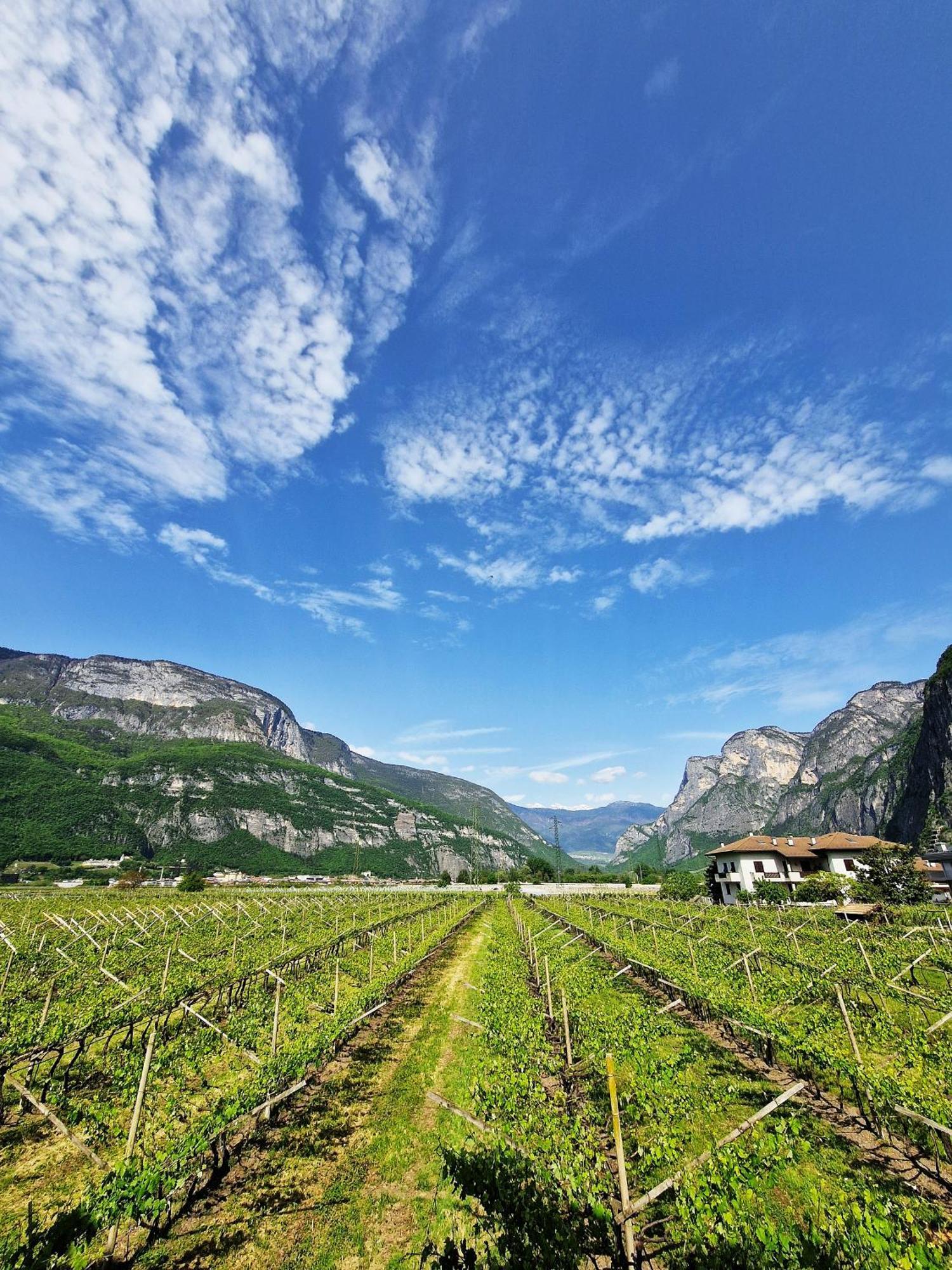 메조코로나 Antico Fienile Agritur 빌라 외부 사진