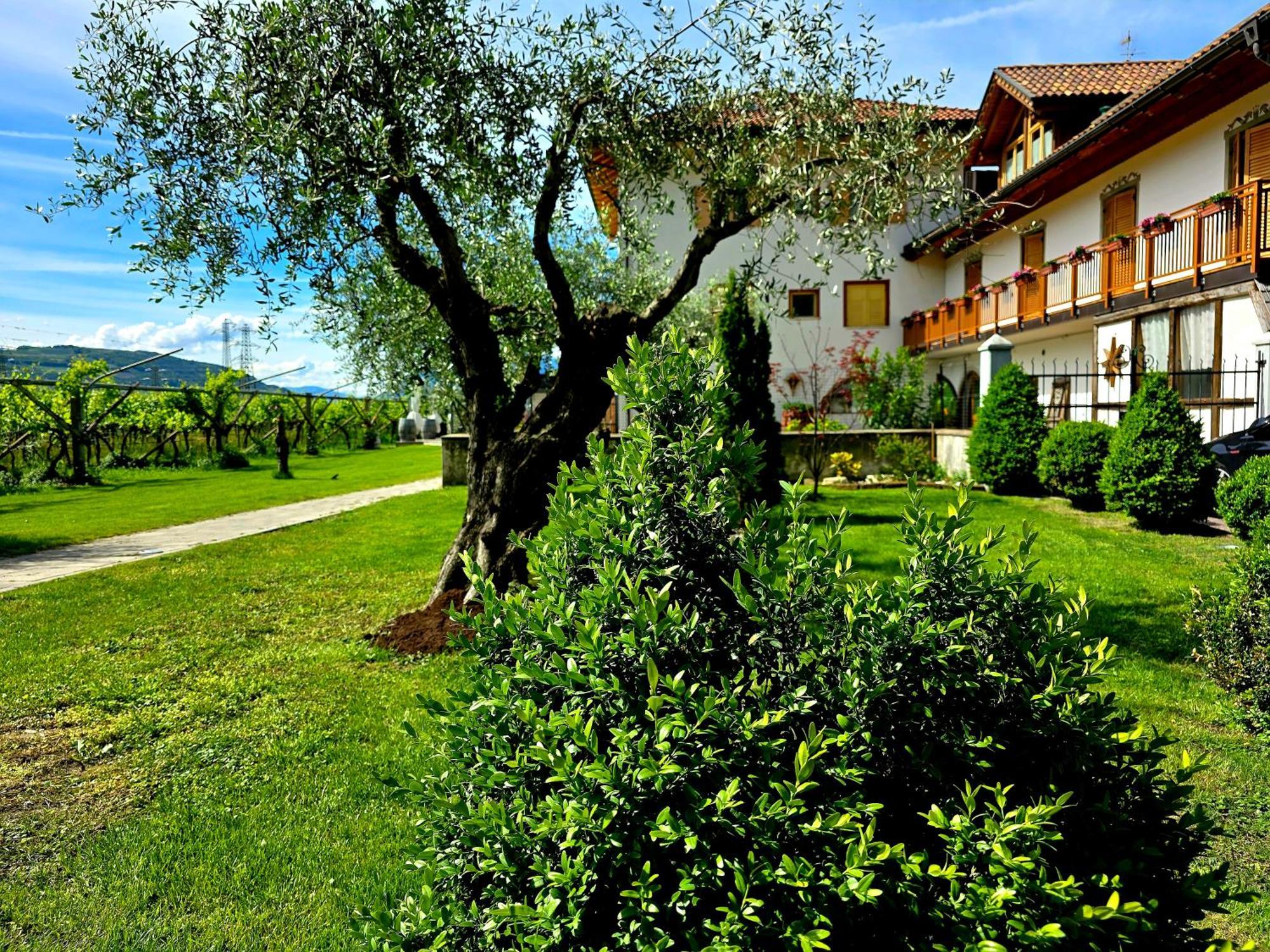 메조코로나 Antico Fienile Agritur 빌라 외부 사진